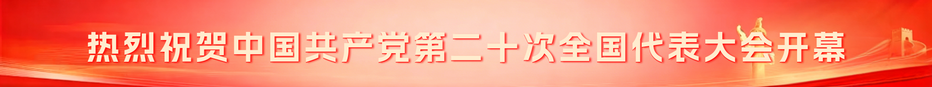 二十大