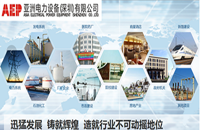 亚洲电力设备(深圳)股份有限公司